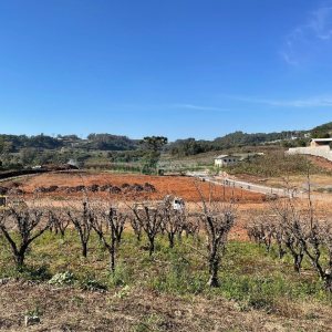 Terreno com 465m², no bairro Monte Bérico em Caxias do Sul para Comprar