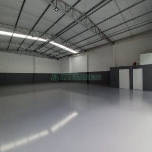 Pavilhão com 320m², no bairro Salgado Filho em Caxias do Sul para Comprar