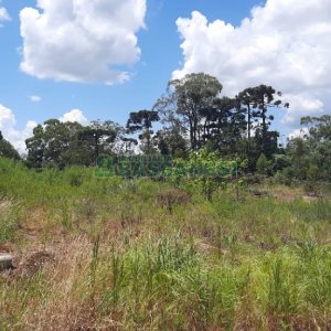 Terreno, no bairro Jardim das Hortências em Caxias do Sul para Comprar