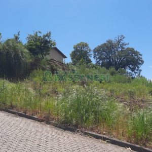 Terreno, no bairro Jardim das Hortências em Caxias do Sul para Comprar