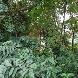 Terreno, no bairro Kayser em Caxias do Sul para Comprar