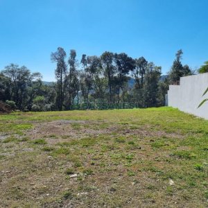 Terreno, no bairro Nossa Senhora da Saúde em Caxias do Sul para Comprar