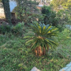 Terreno, no bairro Rio Branco em Caxias do Sul para Comprar