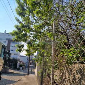 Terreno, no bairro Rio Branco em Caxias do Sul para Comprar