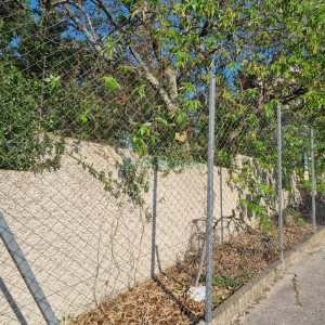 Terreno, no bairro Rio Branco em Caxias do Sul para Comprar