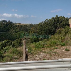Terreno com 11819m², no bairro São Giácomo em Caxias do Sul para Comprar