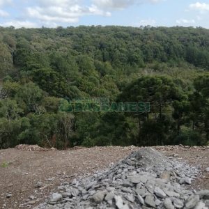 Terreno, no bairro São Giácomo em Caxias do Sul para Comprar