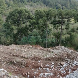 Terreno, no bairro São Giácomo em Caxias do Sul para Comprar