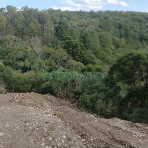 Terreno, no bairro São Giácomo em Caxias do Sul para Comprar