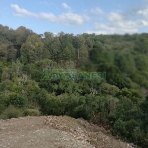 Terreno, no bairro São Giácomo em Caxias do Sul para Comprar