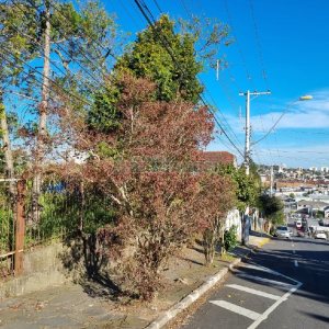 Terreno com 850m², no bairro Petrópolis em Caxias do Sul para Comprar