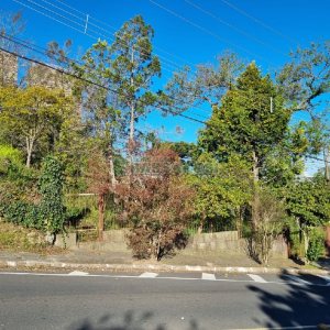 Terreno com 850m², no bairro Petrópolis em Caxias do Sul para Comprar
