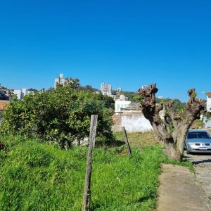 Terreno, no bairro Salgado Filho em Caxias do Sul para Comprar