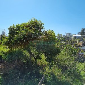 Terreno, no bairro Salgado Filho em Caxias do Sul para Comprar