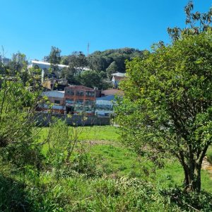 Terreno, no bairro Salgado Filho em Caxias do Sul para Comprar