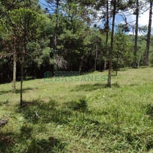 Chácara, no bairro Pedras Brancas em São Marcos para Comprar