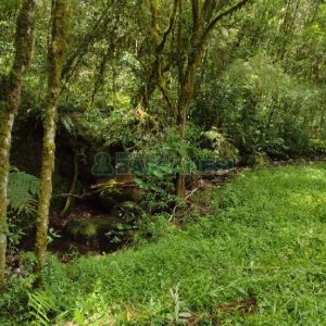Chácara, no bairro Pedras Brancas em São Marcos para Comprar