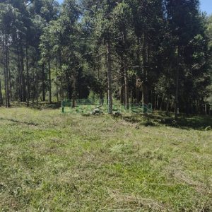 Chácara, no bairro Pedras Brancas em São Marcos para Comprar