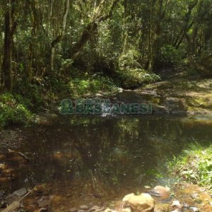 Chácara, no bairro Pedras Brancas em São Marcos para Comprar