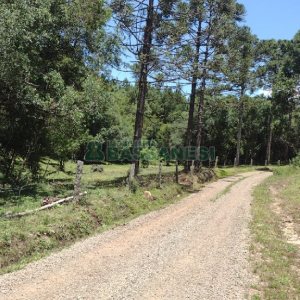 Chácara, no bairro Pedras Brancas em São Marcos para Comprar