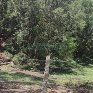 Chácara, no bairro Pedras Brancas em São Marcos para Comprar