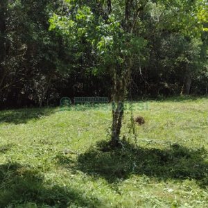 Chácara, no bairro Pedras Brancas em São Marcos para Comprar