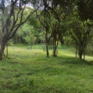 Chácara, no bairro Pedras Brancas em São Marcos para Comprar