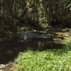 Chácara, no bairro Pedras Brancas em São Marcos para Comprar