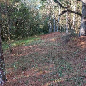 Chácara, no bairro Pedras Brancas em São Marcos para Comprar