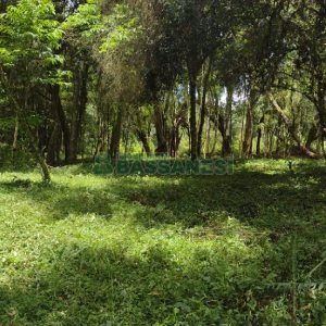 Chácara, no bairro Pedras Brancas em São Marcos para Comprar