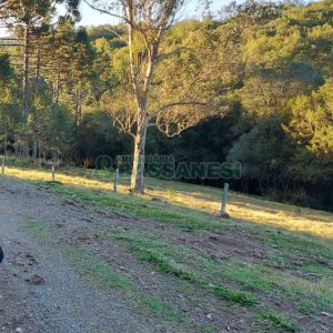 Chácara, no bairro Pedras Brancas em São Marcos para Comprar