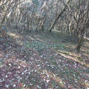 Chácara, no bairro Pedras Brancas em São Marcos para Comprar