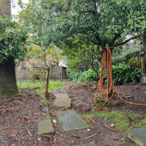 Casa com 130m², 3 dormitórios, 2 vagas, no bairro Cruzeiro em Caxias do Sul para Comprar