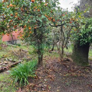 Casa com 130m², 3 dormitórios, 2 vagas, no bairro Cruzeiro em Caxias do Sul para Comprar