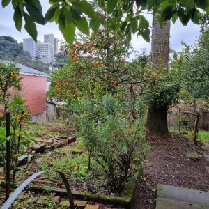 Casa com 130m², 3 dormitórios, 2 vagas, no bairro Cruzeiro em Caxias do Sul para Comprar