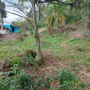 Terreno com 460m², no bairro Charqueadas em Caxias do Sul para Comprar