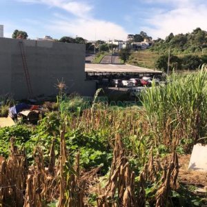 Terreno com 991m², no bairro Sanvitto em Caxias do Sul para Comprar