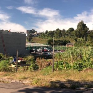 Terreno com 991m², no bairro Sanvitto em Caxias do Sul para Comprar