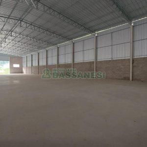 Pavilhão com 1188m², no bairro São Gotardo em Flores da Cunha para Alugar