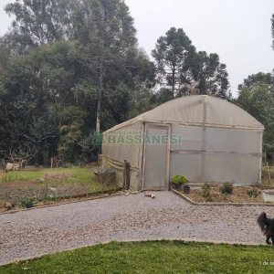 Chácara com 167m², no bairro Ana Rech em Caxias do Sul para Comprar