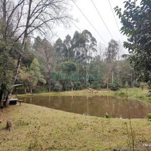 Chácara com 167m², no bairro Ana Rech em Caxias do Sul para Comprar