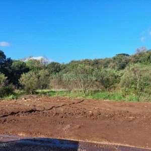 Terreno com 20000m², no bairro Nossa Senhora da Saúde em Caxias do Sul para Comprar