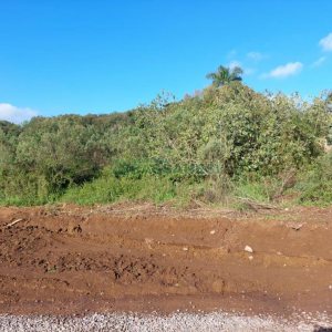 Terreno com 20000m², no bairro Nossa Senhora da Saúde em Caxias do Sul para Comprar