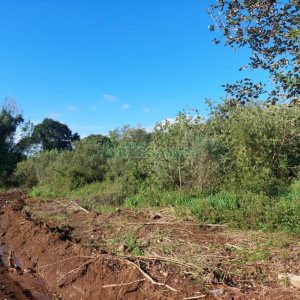 Terreno com 20000m², no bairro Nossa Senhora da Saúde em Caxias do Sul para Comprar