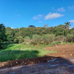 Terreno com 20000m², no bairro Nossa Senhora da Saúde em Caxias do Sul para Comprar