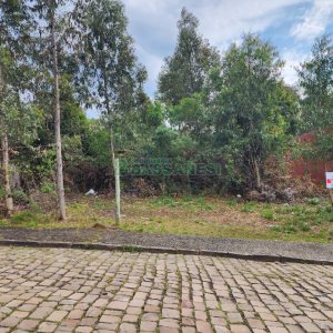 Terreno com 360m², no bairro Sanvitto em Caxias do Sul para Comprar