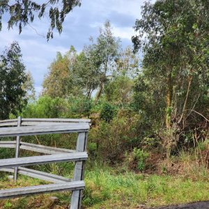 Terreno com 360m², no bairro Sanvitto em Caxias do Sul para Comprar