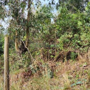 Terreno com 360m², no bairro Sanvitto em Caxias do Sul para Comprar