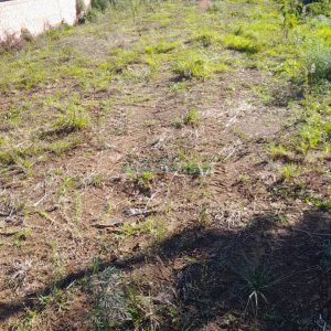 Terreno, no bairro Treviso em Caxias do Sul para Comprar