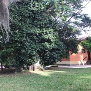 Casa com 410m², 3 dormitórios, no bairro Bela Vista em Caxias do Sul para Comprar